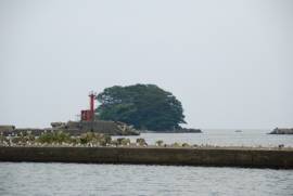唐島