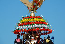 長徳寺の花傘