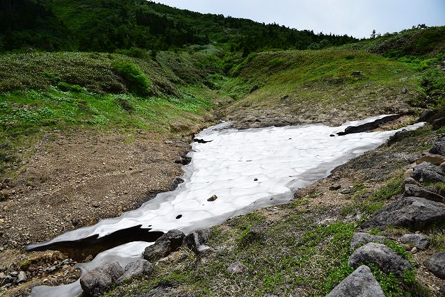 南竜ヶ馬場の雪渓