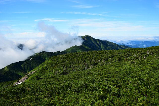 振り返ると別山