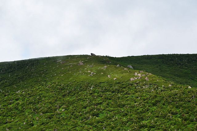 エコーラインの登山道から見たトンビ岩