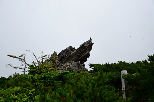 トンビ岩
