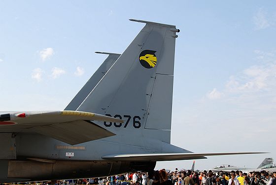 F-15J 垂直尾翼