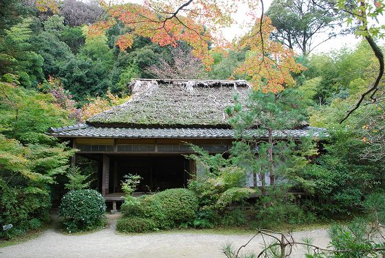 滝口寺 本堂