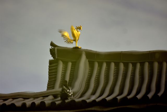 阿字池に映る鳳凰堂の大屋根と鳳凰像