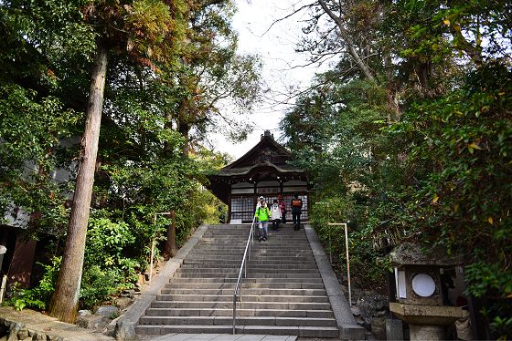 参道の階段と拝殿