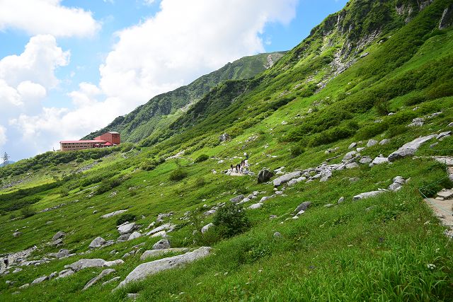 八丁坂分岐から信州駒ヶ岳神社への散策道