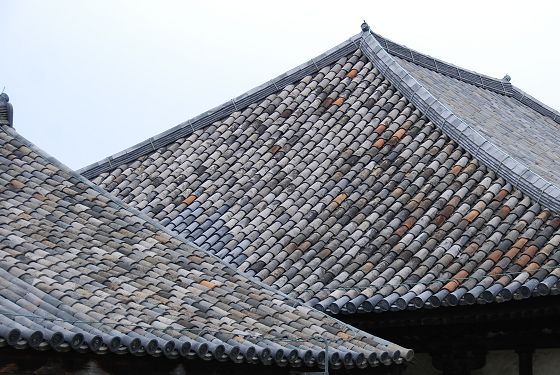 本堂と禅堂の屋根
