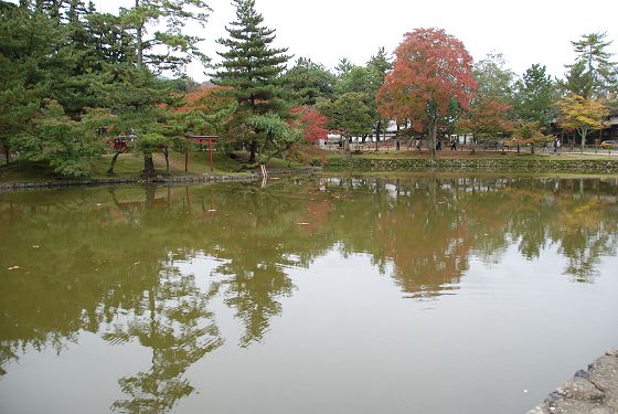 東大寺 鏡池