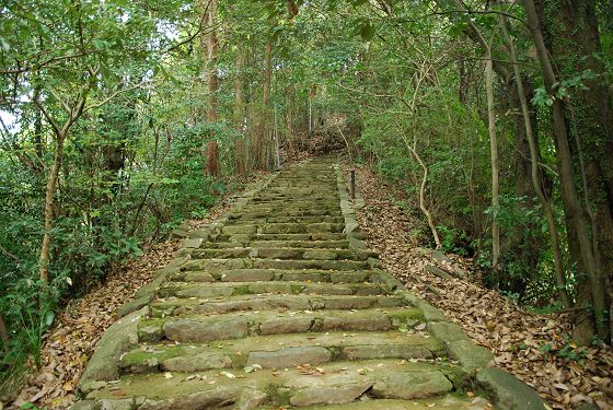 長谷山口坐神社 参道の階段