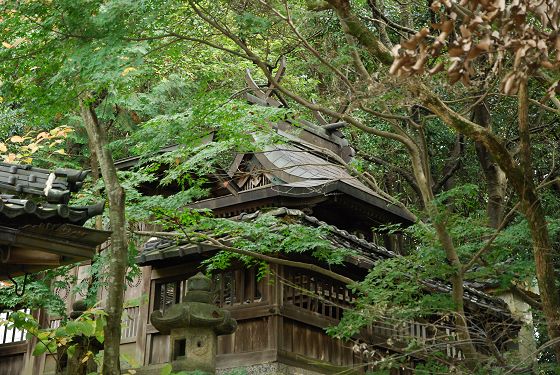 長谷山口坐神社 本殿