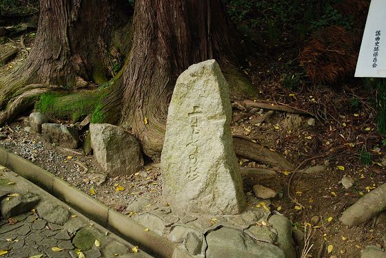 二本の杉の根元にある石碑