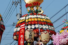 北上野町 花傘