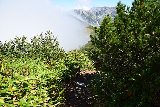 分岐点から奥大日岳 最高地点方向への登山道