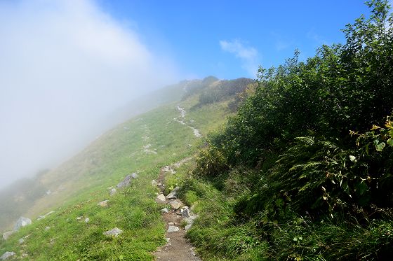 奥大日岳 最高地点へと続く登山道