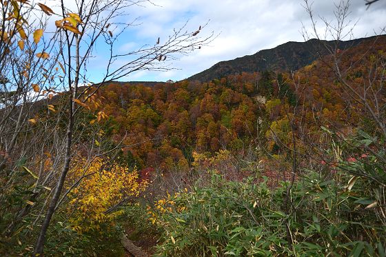 大日平 第1ベンチから眺めた紅葉の山