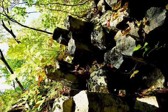 崖から突き出る材木石