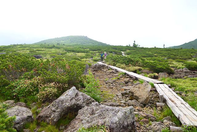 奥日本庭園の木道を歩く登山者