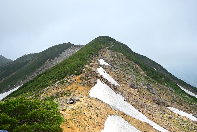 岩苔乗越から祖父岳への登山道