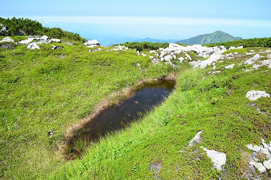 浄土山 北峰の近くにある池塘