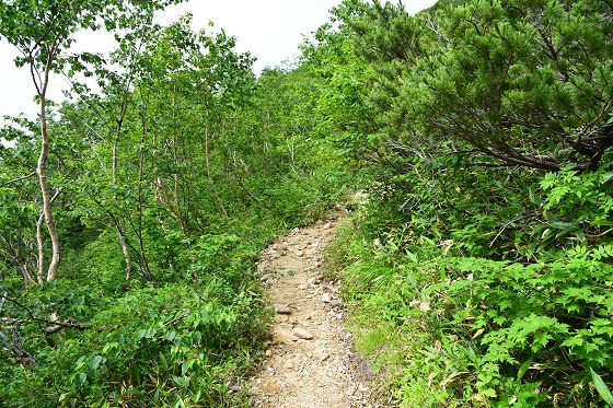 赤岩岳を経て西岳そして東鎌尾根・槍ヶ岳への登山道