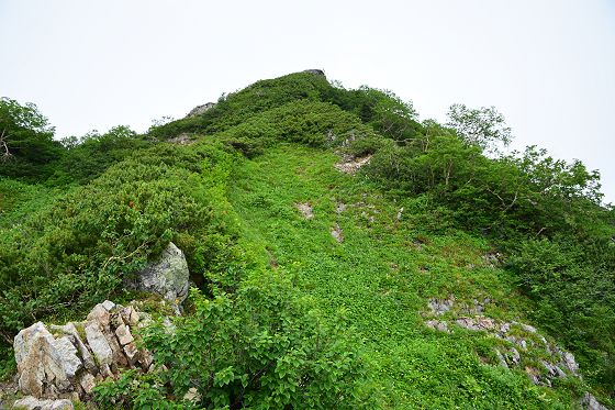 山頂の真東下の登山道から見た赤岩岳のピーク