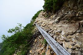 材木で崩落防止された登山道