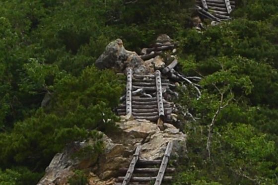 6本目の木製階段梯子