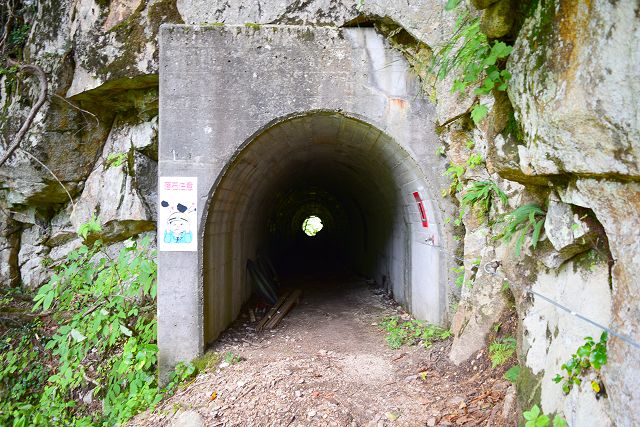 阿曽原側のトンネル開口部