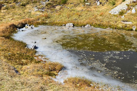 10月中旬の寒い日、太陽の出ている昼でも池塘の周辺部は凍っていました