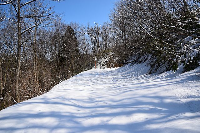 雪に埋もれた林道、鳥越峠方向