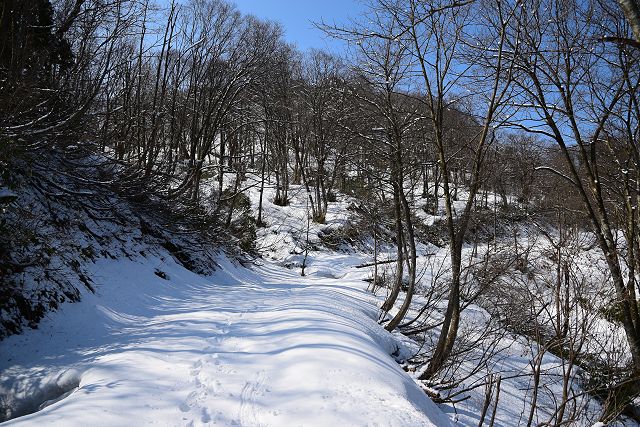 雪に埋もれた林道、長尾峠方向