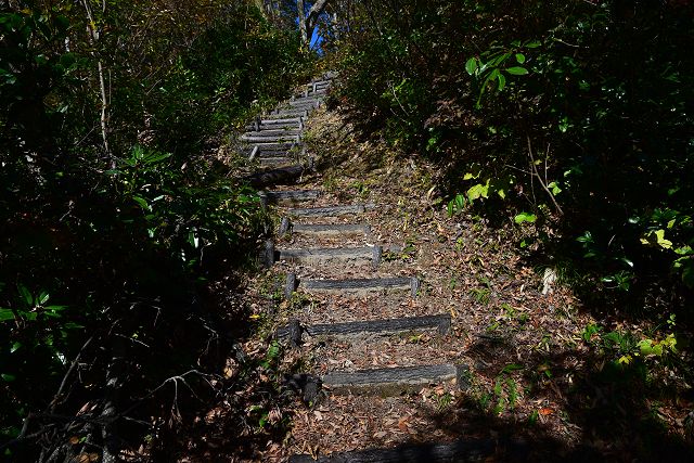 堀切の底から山頂方向への登山道・階段