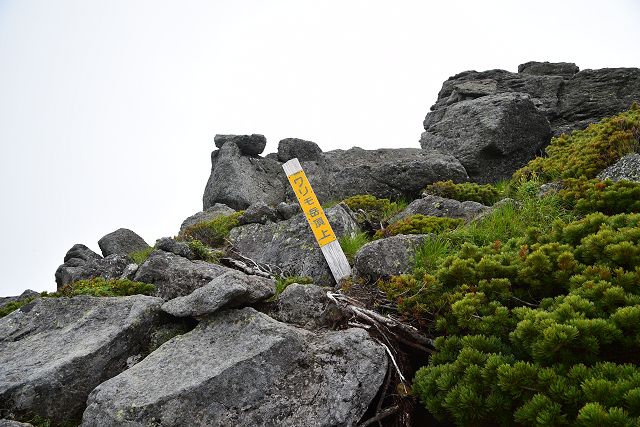 登山道脇にあるワリモ岳山頂の案内標識