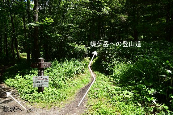 蝶ケ岳への登山道（