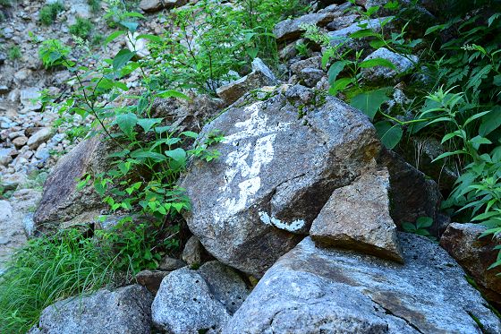 「五郎沢」の岩