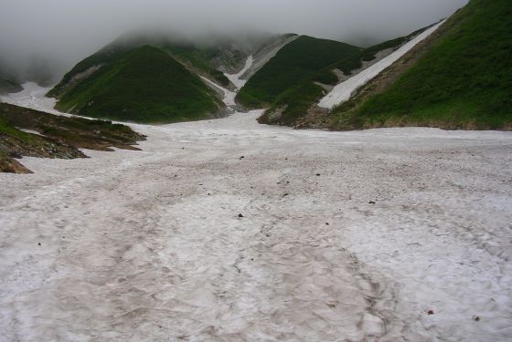大走りの雪渓
