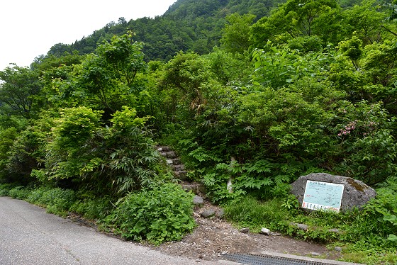 2015年6月07日、大日岳登山口