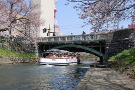 桜橋をくぐる松川遊覧船