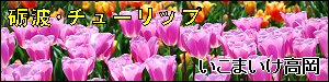 いこまいけ高岡