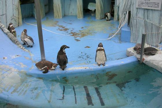動物園